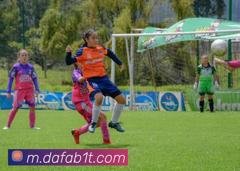 大发彩票官网平台生态图